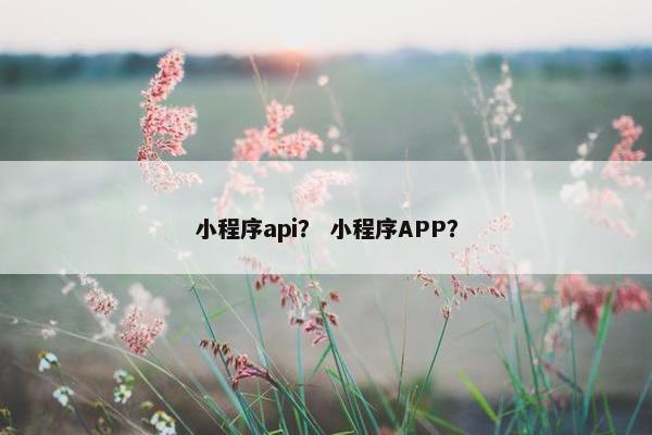 小程序api？ 小程序APP？