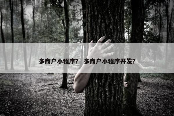 多商户小程序？ 多商户小程序开发？