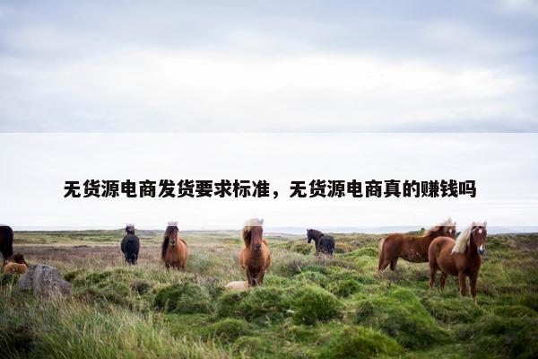 无货源电商发货要求标准，无货源电商真的赚钱吗