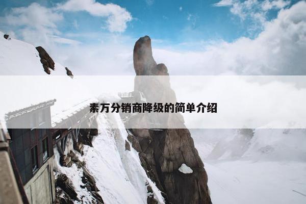 素万分销商降级的简单介绍