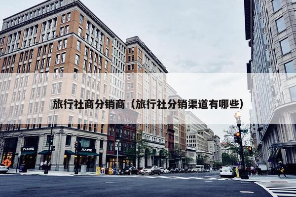 旅行社商分销商（旅行社分销渠道有哪些）