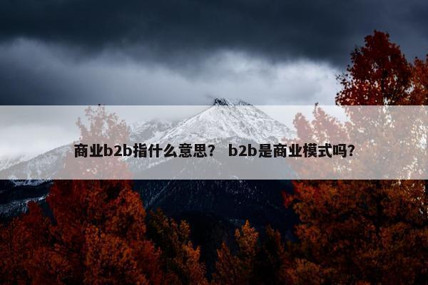 商业b2b指什么意思？ b2b是商业模式吗？