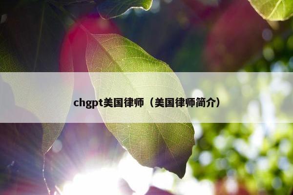 chgpt美国律师（美国律师简介）