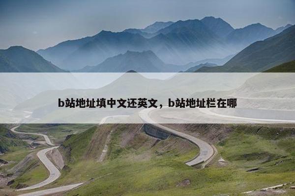 b站地址填中文还英文，b站地址栏在哪