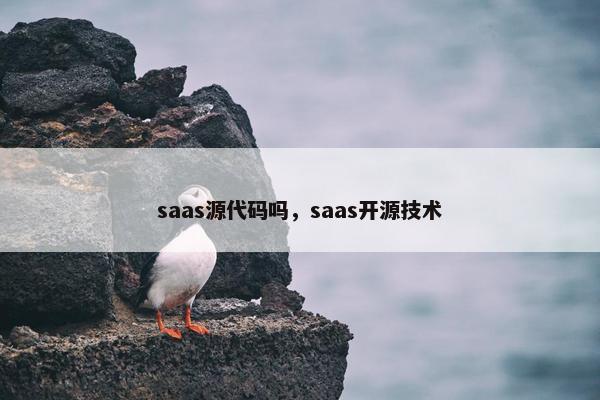 saas源代码吗，saas开源技术