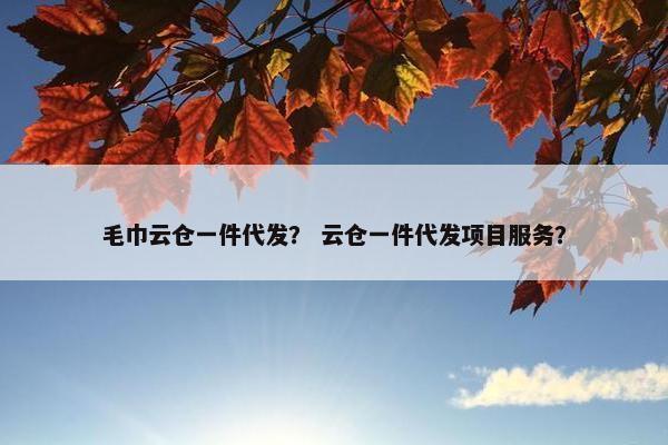 毛巾云仓一件代发？ 云仓一件代发项目服务？