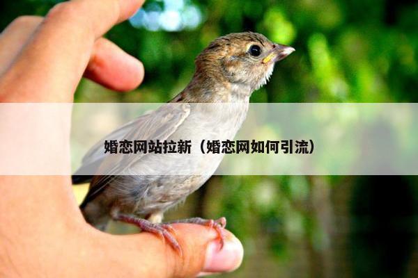 婚恋网站拉新（婚恋网如何引流）