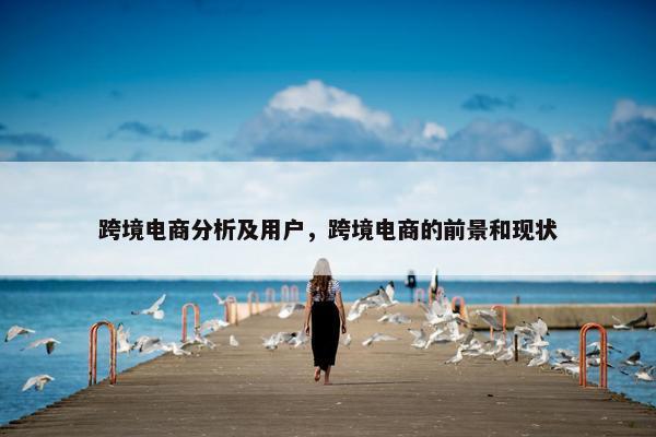 跨境电商分析及用户，跨境电商的前景和现状