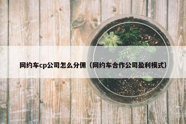 网约车cp公司怎么分佣（网约车合作公司盈利模式）