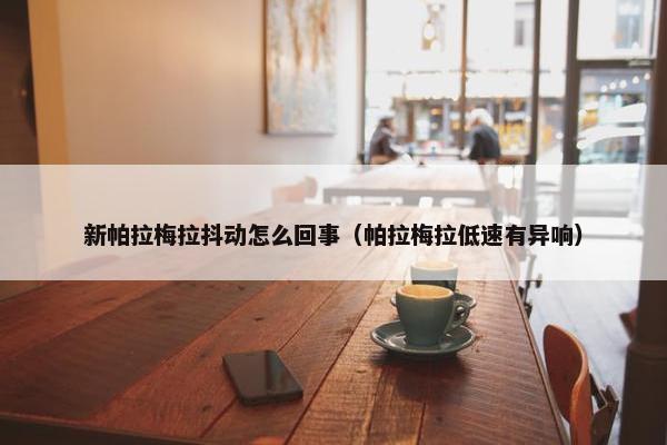 新帕拉梅拉抖动怎么回事（帕拉梅拉低速有异响）