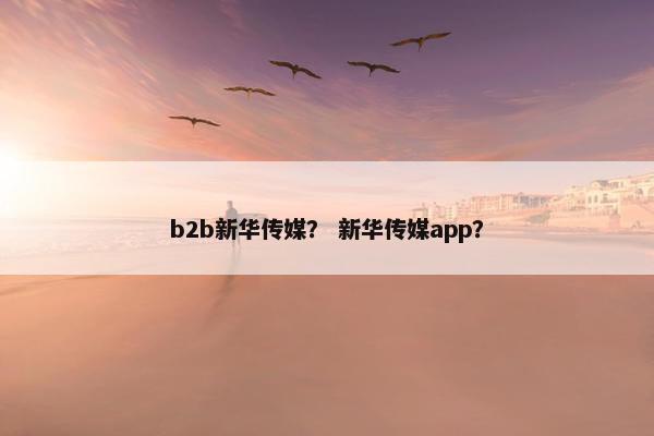 b2b新华传媒？ 新华传媒app？
