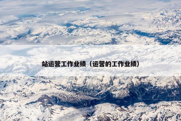 站运营工作业绩（运营的工作业绩）