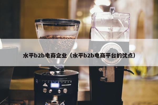 水平b2b电商企业（水平b2b电商平台的优点）