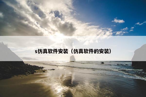 s仿真软件安装（仿真软件的安装）