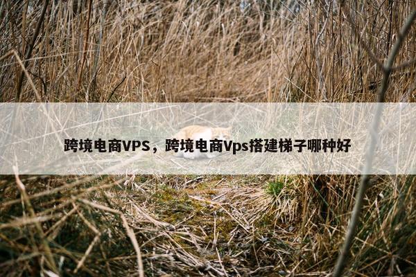 跨境电商VPS，跨境电商Vps搭建梯子哪种好