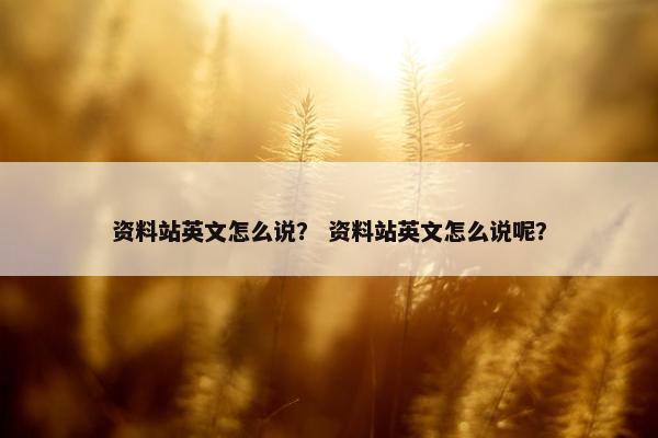 资料站英文怎么说？ 资料站英文怎么说呢？