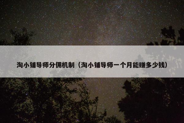 淘小铺导师分佣机制（淘小铺导师一个月能赚多少钱）