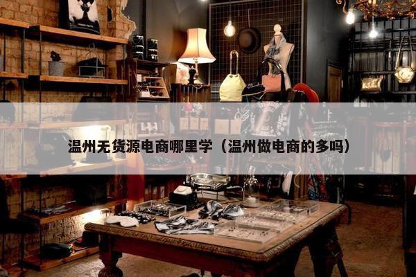 温州无货源电商哪里学（温州做电商的多吗）