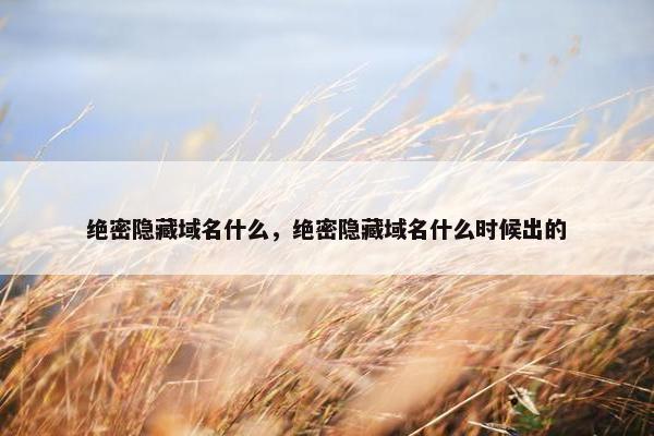 绝密隐藏域名什么，绝密隐藏域名什么时候出的