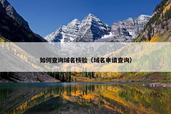 如何查询域名核验（域名申请查询）
