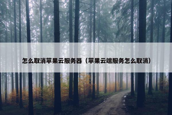 怎么取消苹果云服务器（苹果云端服务怎么取消）