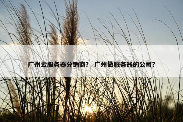 广州云服务器分销商？ 广州做服务器的公司？