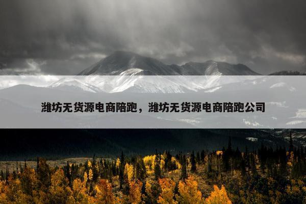 潍坊无货源电商陪跑，潍坊无货源电商陪跑公司