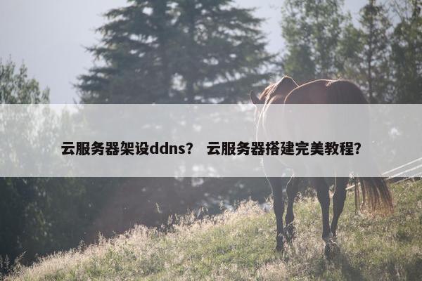 云服务器架设ddns？ 云服务器搭建完美教程？