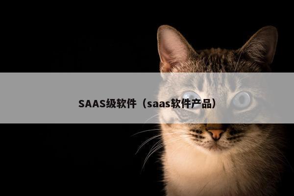 SAAS级软件（saas软件产品）