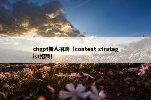 chgpt新人招聘（content strategist招聘）