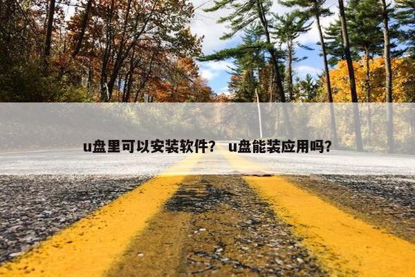 u盘里可以安装软件？ u盘能装应用吗？