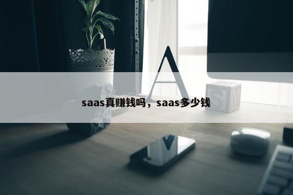 saas真赚钱吗，saas多少钱