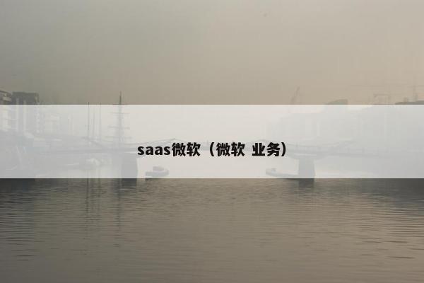 saas微软（微软 业务）