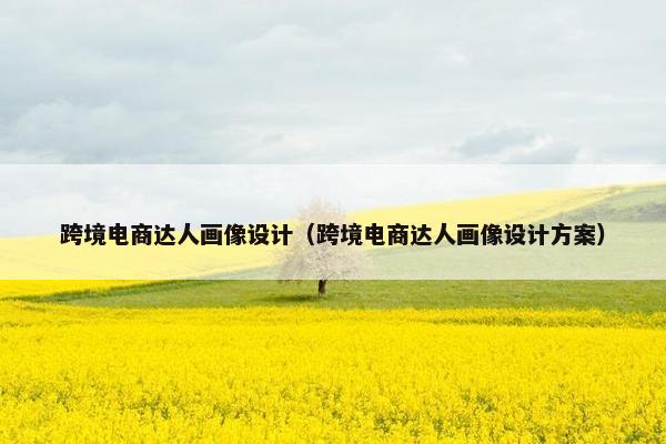 跨境电商达人画像设计（跨境电商达人画像设计方案）