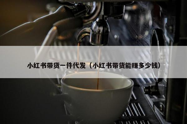 小红书带货一件代发（小红书带货能赚多少钱）