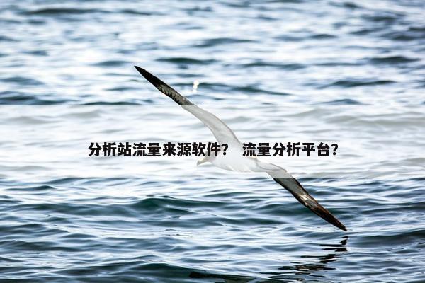 分析站流量来源软件？ 流量分析平台？