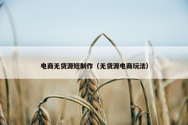 电商无货源短制作（无货源电商玩法）