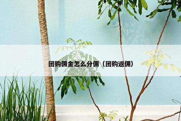 团购佣金怎么分佣（团购返佣）