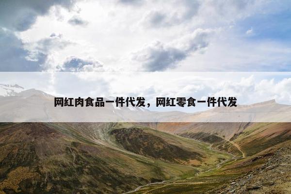 网红肉食品一件代发，网红零食一件代发