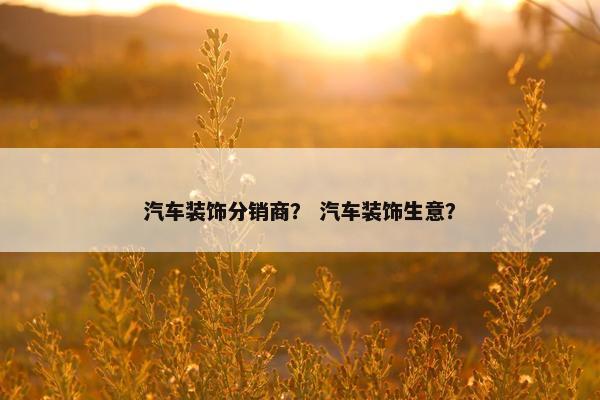 汽车装饰分销商？ 汽车装饰生意？