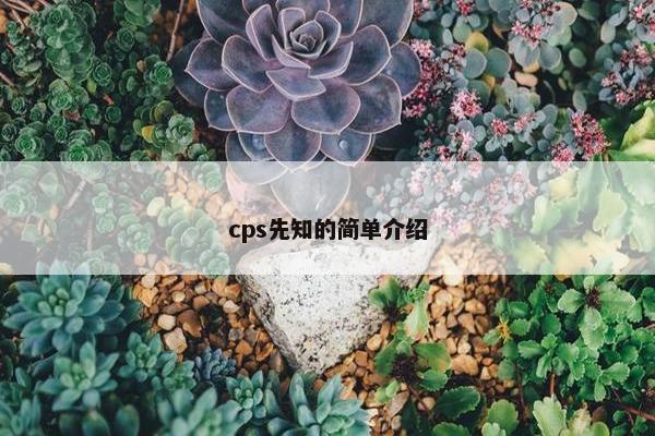 cps先知的简单介绍