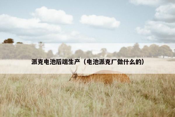 派克电池后端生产（电池派克厂做什么的）