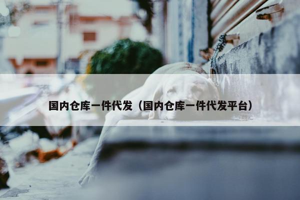 国内仓库一件代发（国内仓库一件代发平台）