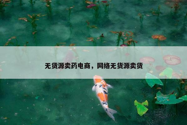 无货源卖药电商，网络无货源卖货