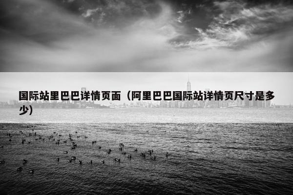 国际站里巴巴详情页面（阿里巴巴国际站详情页尺寸是多少）