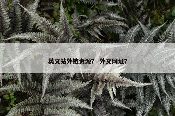 英文站外链资源？ 外文网址？