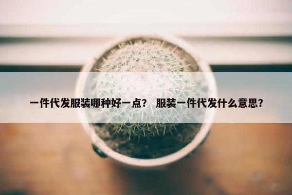 一件代发服装哪种好一点？ 服装一件代发什么意思？