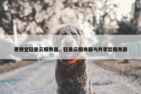 更便宜轻量云服务器，轻量云服务器与共享型服务器