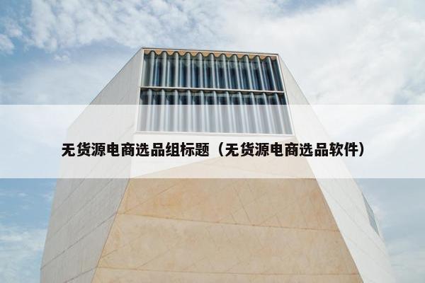 无货源电商选品组标题（无货源电商选品软件）