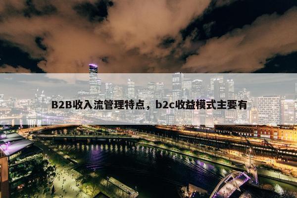 B2B收入流管理特点，b2c收益模式主要有